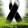 nelson_ordonez